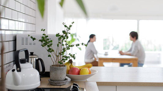Modern kitchen with kettle, fruit bowl, and couple having conversation at dining table
